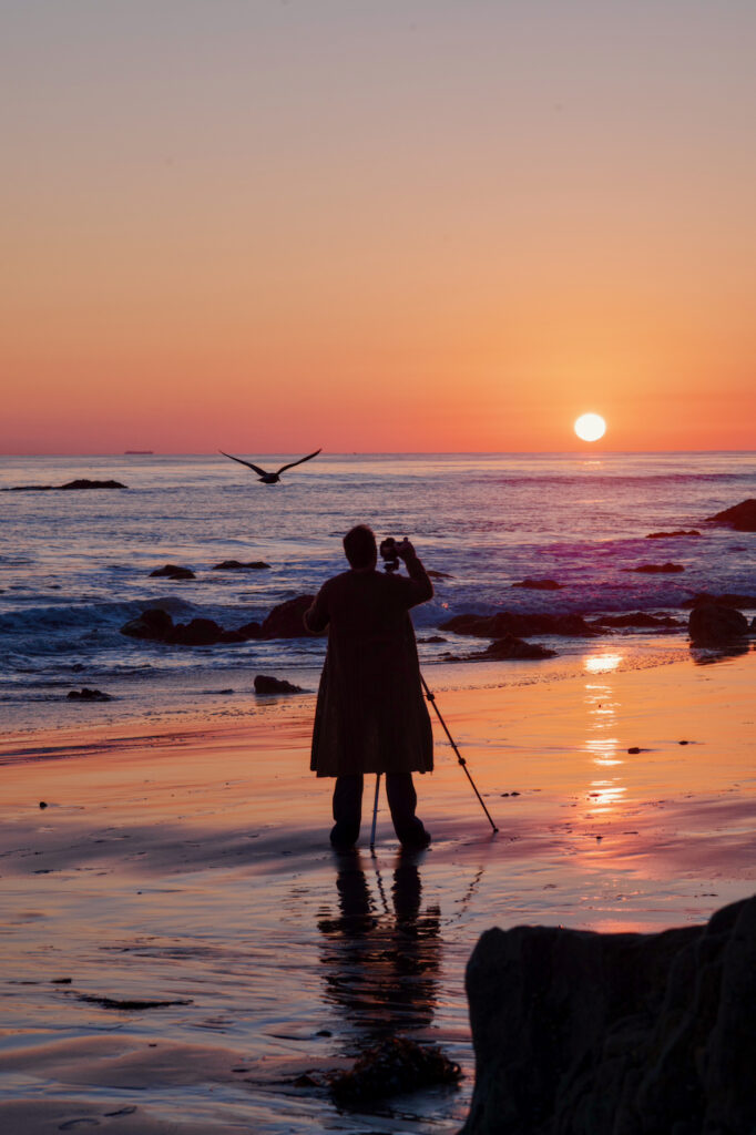 Person silhouetted at sunset photographing seabird flying over ocean waves with orange sky and rocky shoreline