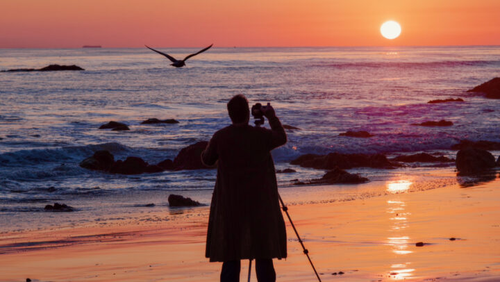 Person silhouetted at sunset photographing seabird flying over ocean waves with orange sky and rocky shoreline